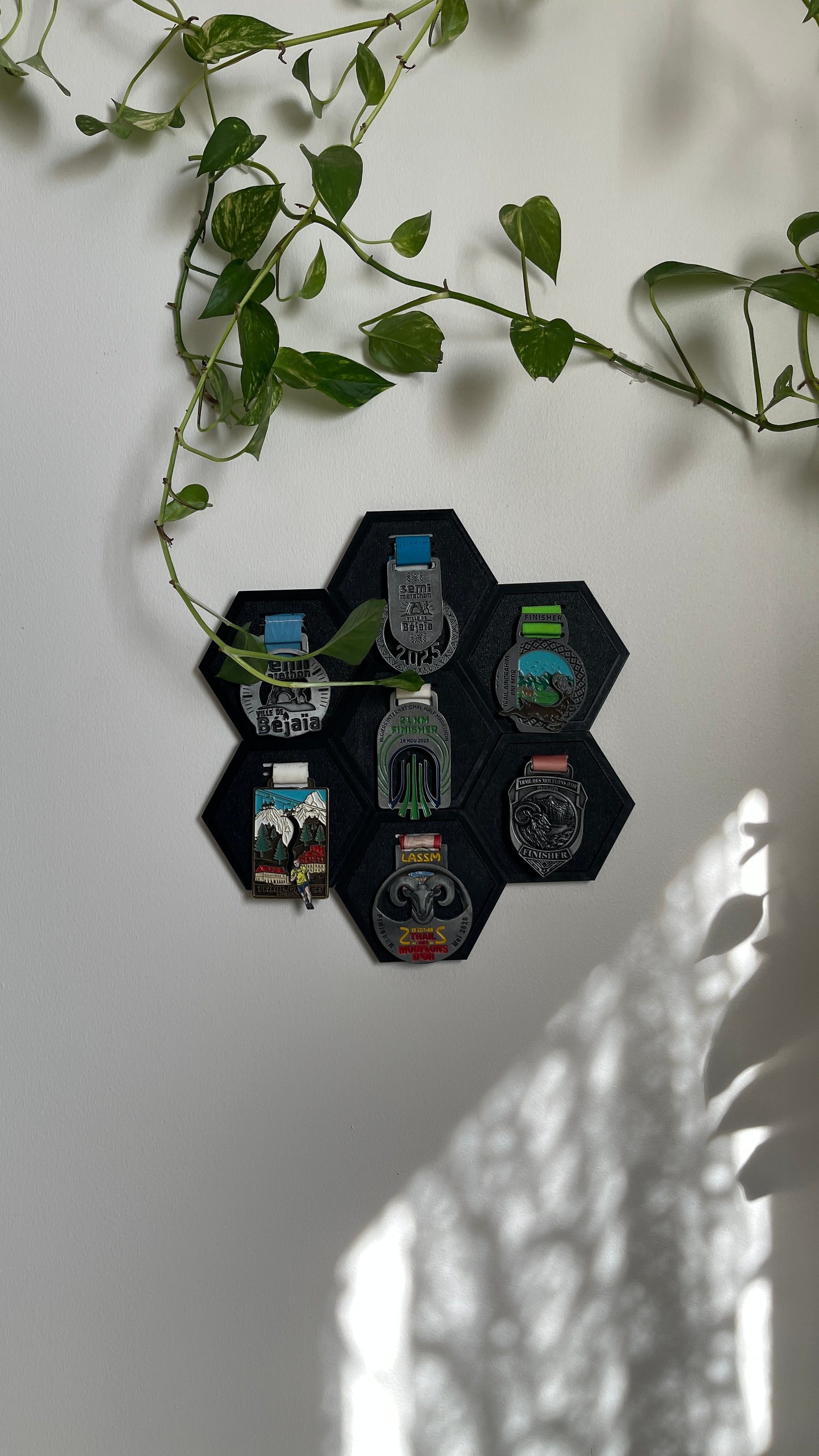 HexaMedal Premium Display